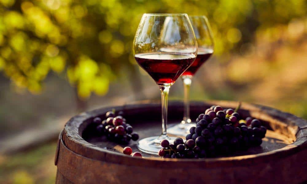 Taste Testing in a Winery
