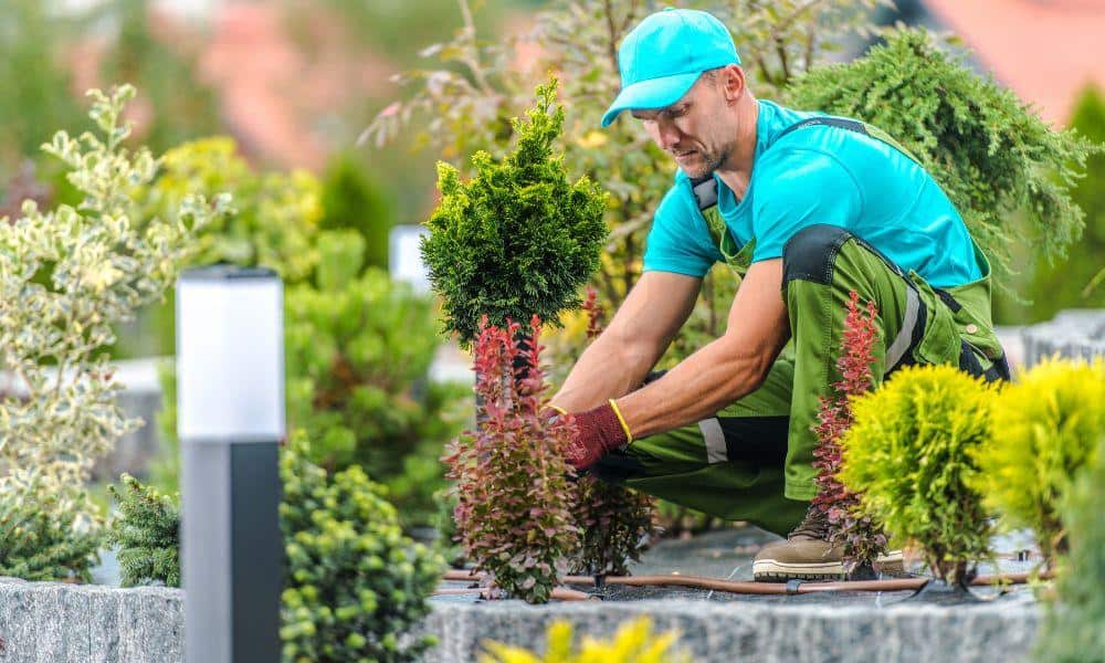 best insurance for landscaping business