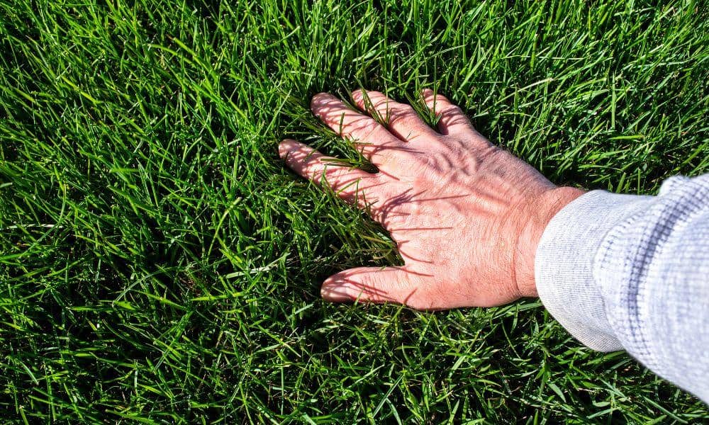 get the Best Pennsylvania landscaping insurance at The Allen Thomas Group